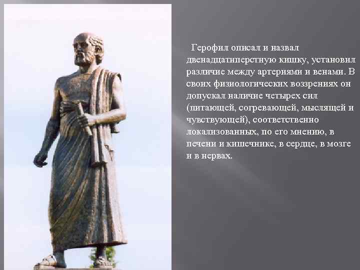  Герофил описал и назвал двенадцатиперстную кишку, установил различие между артериями и венами. В