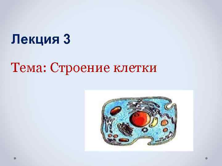 Лекция 3 Тема: Строение клетки 