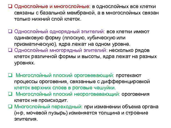 q Однослойные и многослойные: в однослойных все клетки связаны с базальной мембраной, а в