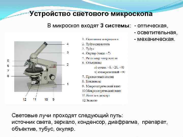 Устройство микроскопа окуляр