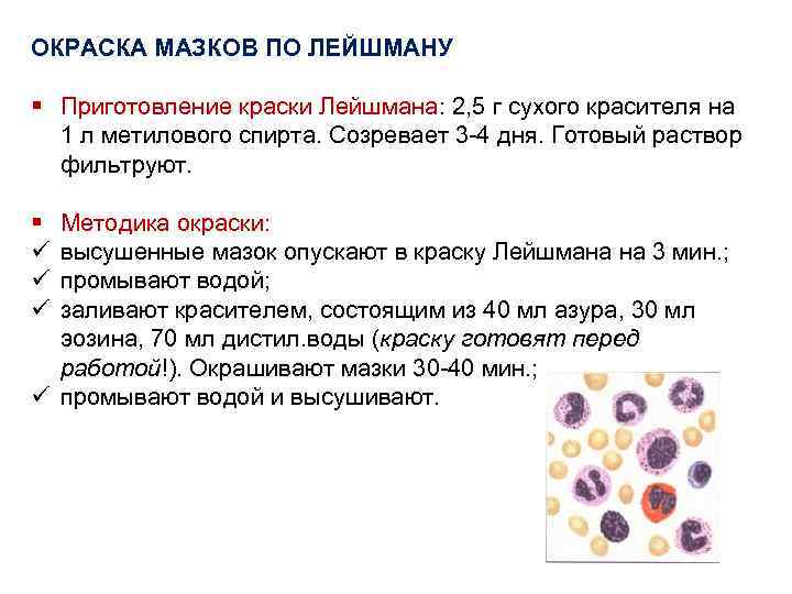 ОКРАСКА МАЗКОВ ПО ЛЕЙШМАНУ § Приготовление краски Лейшмана: 2, 5 г сухого красителя на