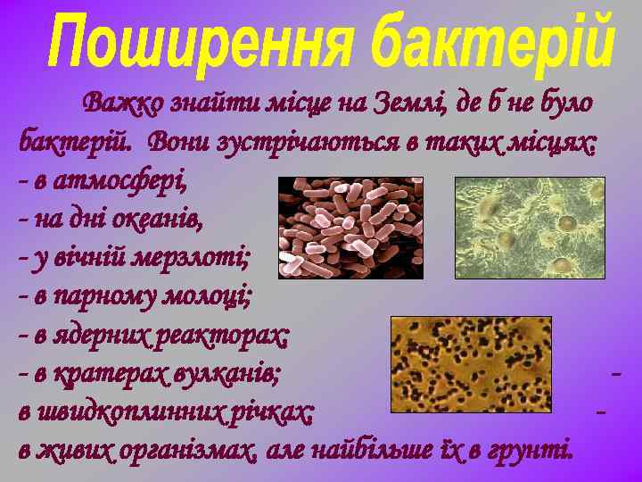 Важко знайти місце на Землі, де б не було бактерій. Вони зустрічаються в таких