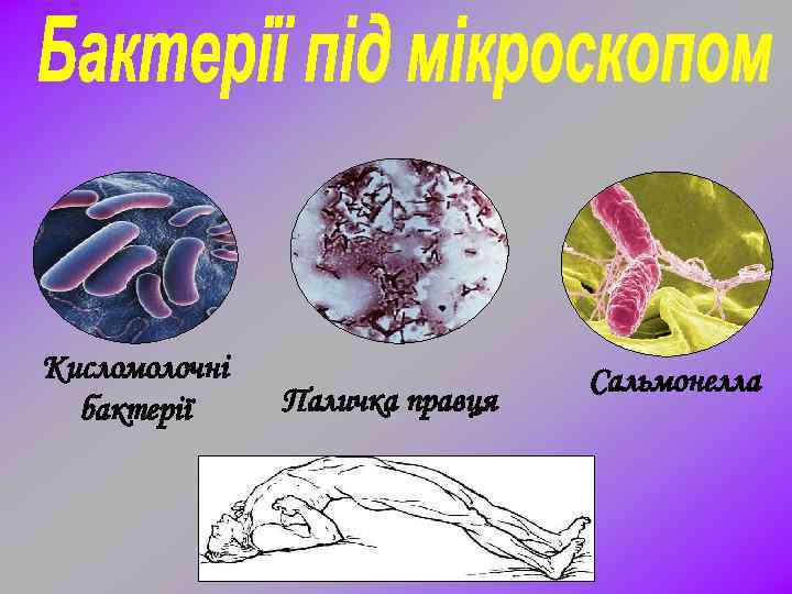Кисломолочні бактерії Паличка правця Сальмонелла 
