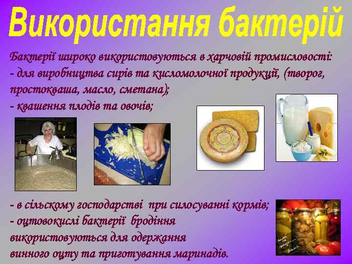 Бактерії широко використовуються в харчовій промисловості: - для виробництва сирів та кисломолочної продукції, (творог,