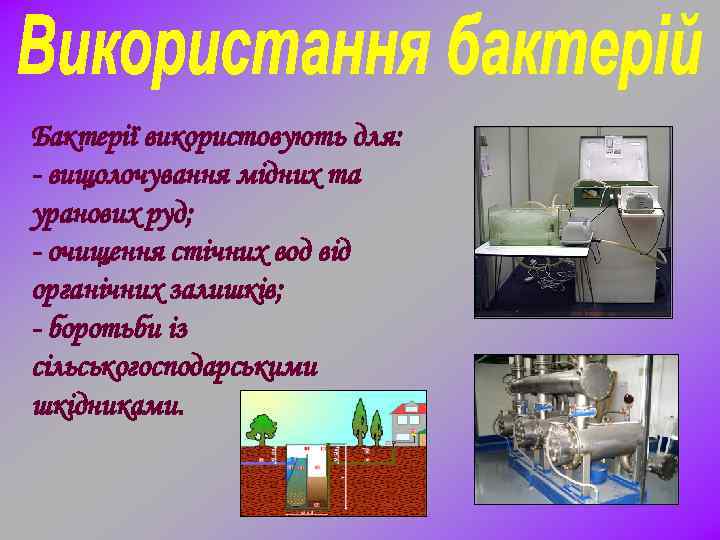Бактерії використовують для: - вищолочування мідних та уранових руд; - очищення стічних вод від