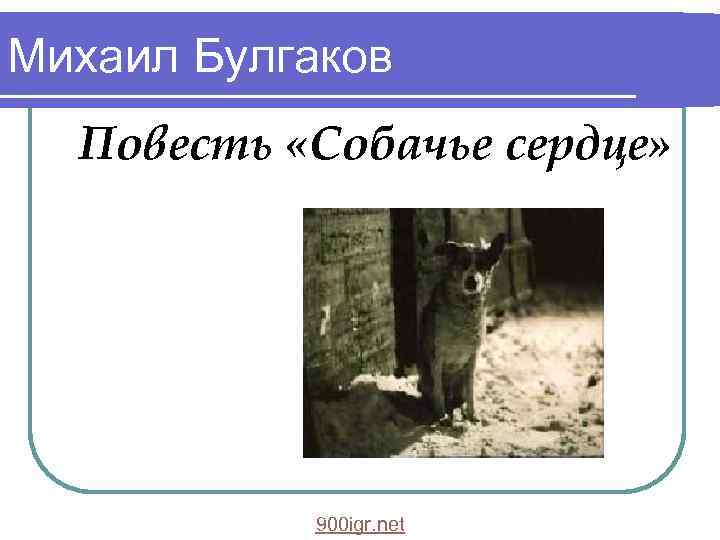 Михаил Булгаков Повесть «Собачье сердце» 900 igr. net 