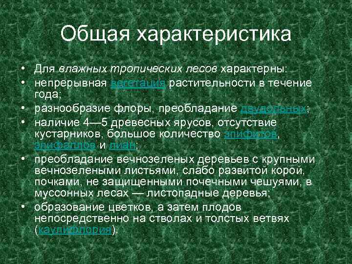Общая характеристика • Для влажных тропических лесов характерны: • непрерывная вегетация растительности в течение