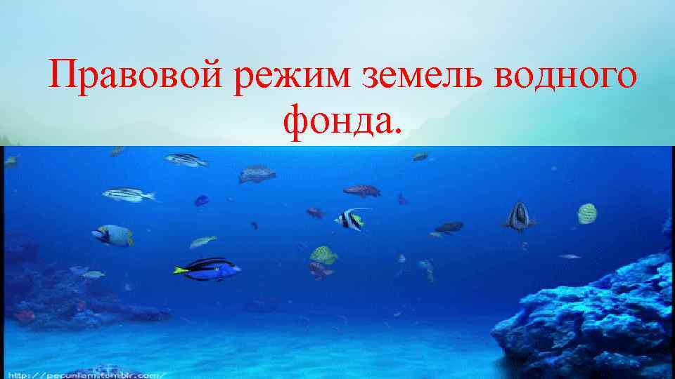 Правовой режим земель водного фонда. 