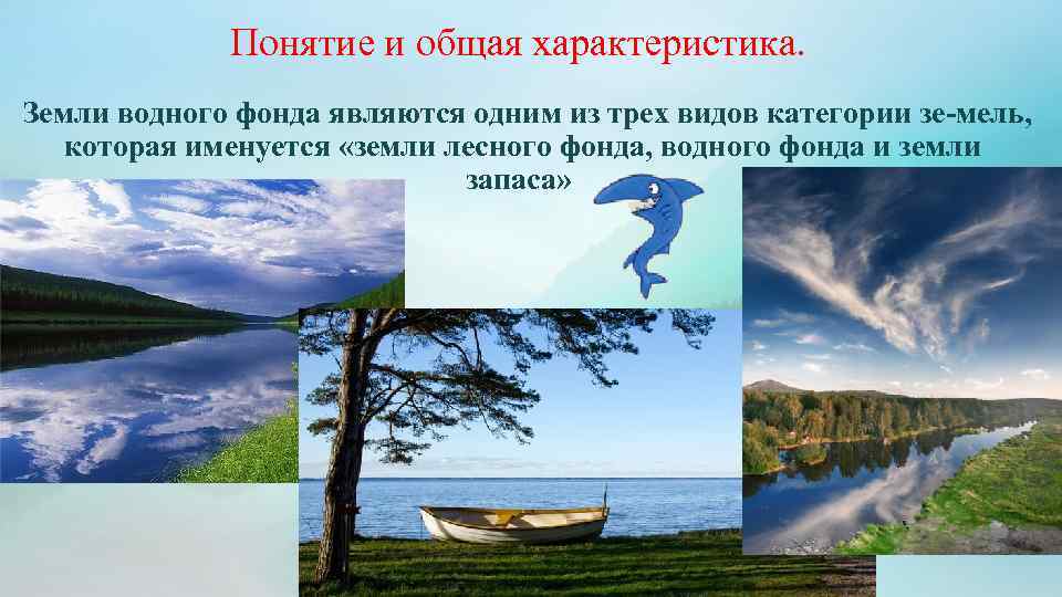 Понятие и общая характеристика. Земли водного фонда являются одним из трех видов категории зе