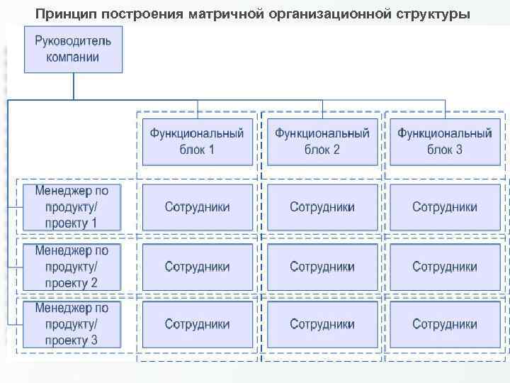 Принцип построения матричной организационной структуры 