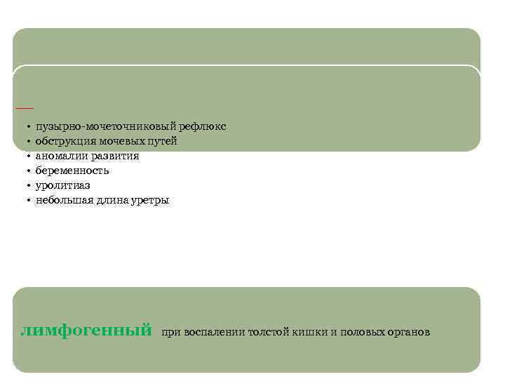 Гематогенный (3 -5%) восходящий урогенный ( E. colli 80% , протей) • Инфекционные процессы,