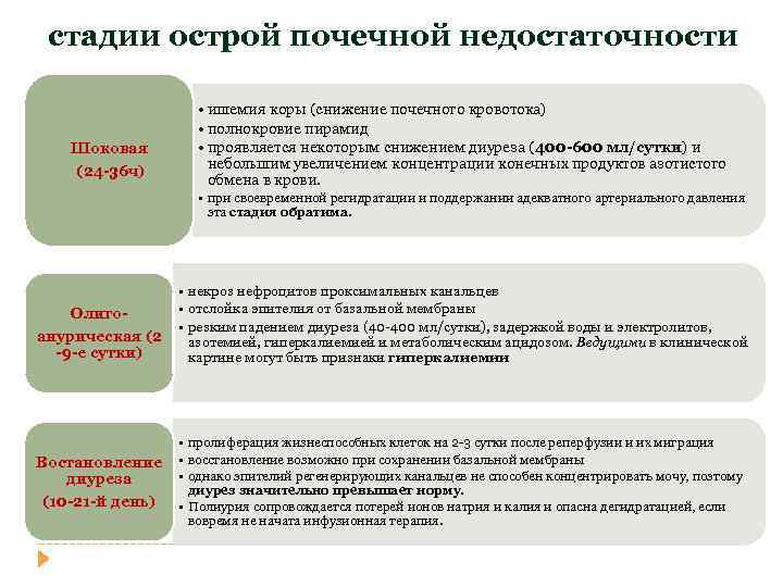 стадии острой почечной недостаточности Шоковая (24 -36 ч) • ишемия коры (снижение почечного кровотока)