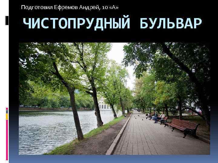 Подготовил Ефремов Андрей, 10 «А» ЧИСТОПРУДНЫЙ БУЛЬВАР 