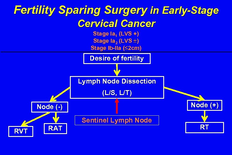 Fertility Sparing Surgery in Early-Stage Cervical Cancer Stage Ia 1 (LVS +) Stage Ia
