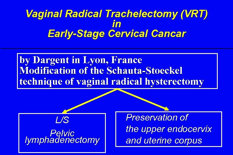 Vaginal Radical Trachelectomy (VRT) in Early-Stage Cervical Cancar by Dargent in Lyon, France Modification