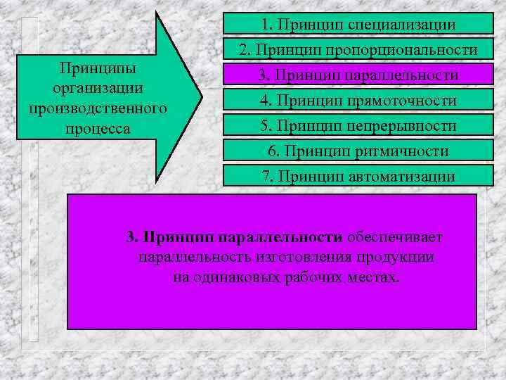 Принципы организации производственного