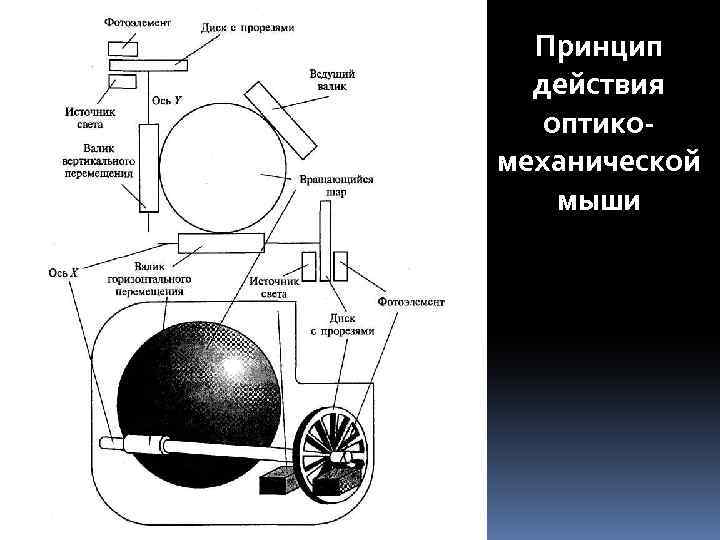 Принцип действия оптикомеханической мыши 