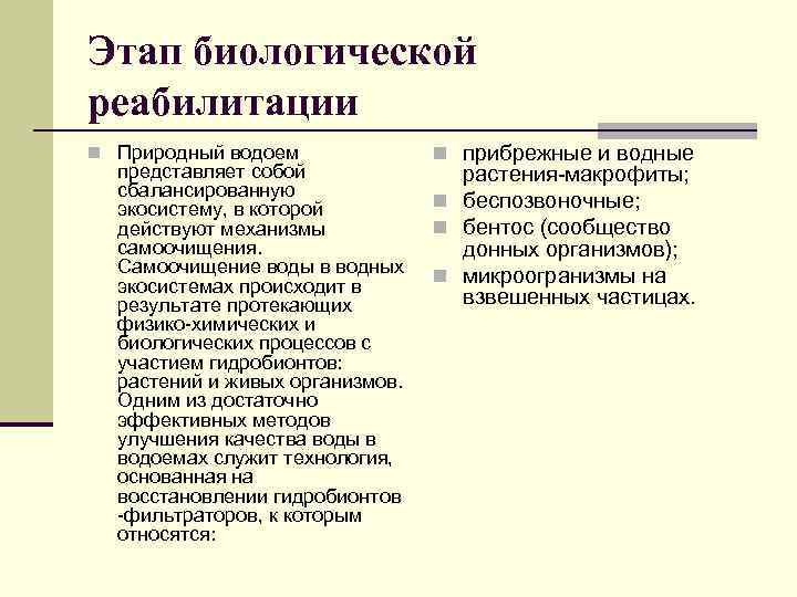 Этап биологической реабилитации n Природный водоем представляет собой сбалансированную экосистему, в которой действуют механизмы