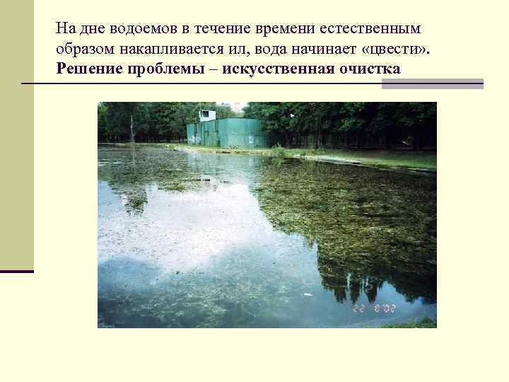 На дне водоемов в течение времени естественным образом накапливается ил, вода начинает «цвести» .