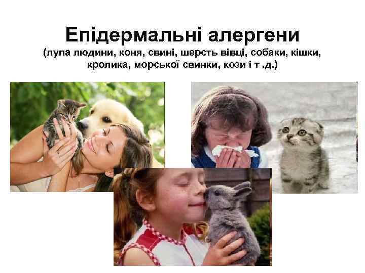 Епідермальні алергени (лупа людини, коня, свині, шерсть вівці, собаки, кішки, кролика, морської свинки, кози