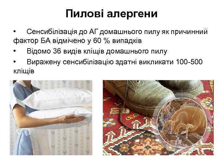 Пилові алергени • Сенсибілізація до АГ домашнього пилу як причинний фактор БА відмічено у