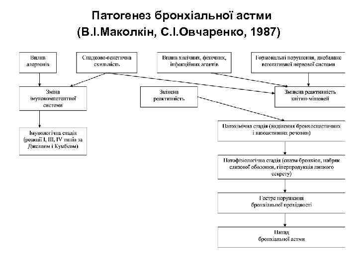 Патогенез бронхіальної астми (В. І. Маколкін, С. І. Овчаренко, 1987) 