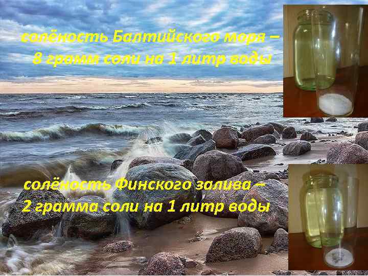 Хороша вода соленая. Пресная вода Балтийского моря. В финском заливе вода соленая. Пресная и соленая вода. Финский залив соленый или пресный.