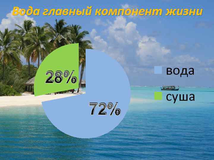 Вода главный компонент жизни вода 28% 72% суша 