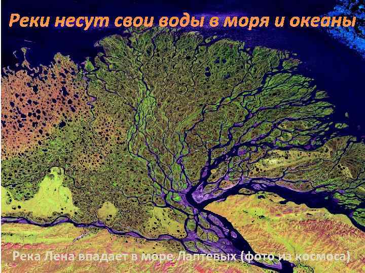 Реки несут свои воды в моря и океаны Река Лена впадает в море Лаптевых