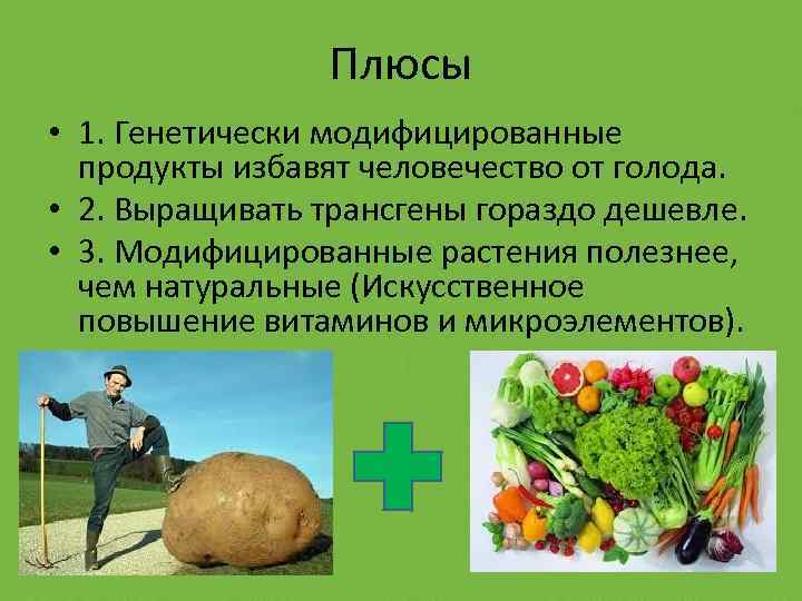 Плюсы • 1. Генетически модифицированные продукты избавят человечество от голода. • 2. Выращивать трансгены