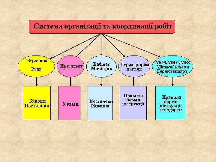 Система організації та координації робіт Верховна Рада Закони Постанови Президент Укази Кабінет Міністрів Постанови