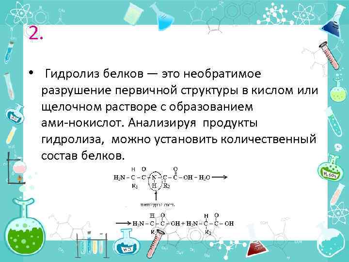 2. • Гидролиз белков — это необратимое разрушение первичной структуры в кислом или щелочном