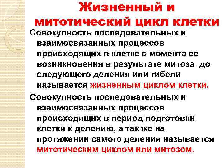 Жизненный и митотический цикл клетки Совокупность последовательных и взаимосвязанных процессов происходящих в клетке с