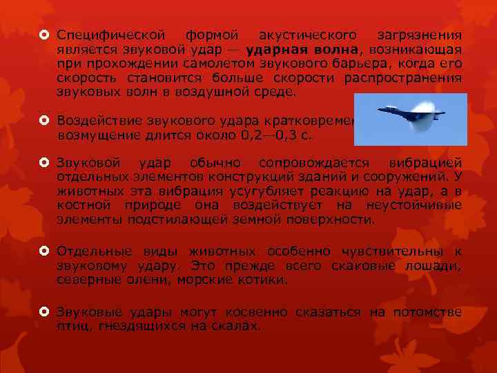  Специфической формой акустического загрязнения является звуковой удар — ударная волна, возникающая при прохождении