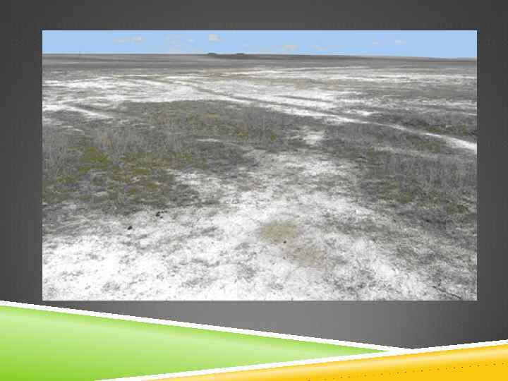 1. ВТОРИЧНОЕ ЗАСОЛЕНИЕ ПОЧВ В процессе хозяйственной деятельности человек может усиливать природное засоление почв.