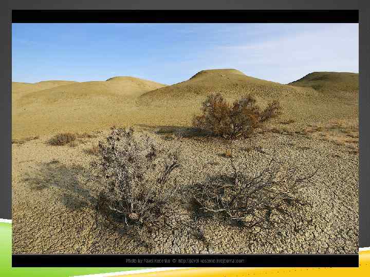 3. ОПУСТЫНИВАНИЕ ПОЧВ По Б. Г. Розанову (1984), опустынивание — это процесс необратимого изменения