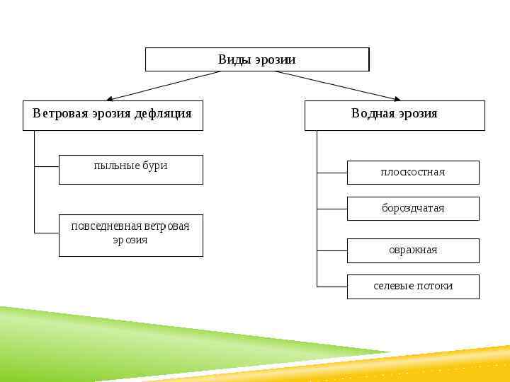 Виды эрозии почв