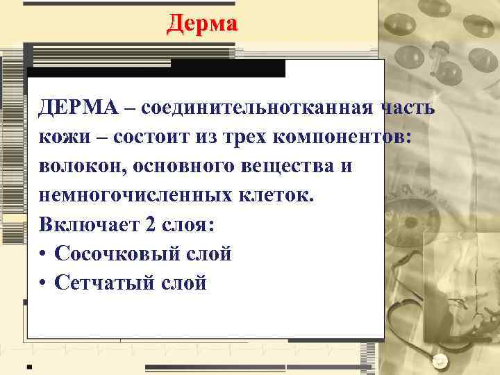 Дерма ДЕРМА – соединительнотканная часть кожи – состоит из трех компонентов: волокон, основного вещества