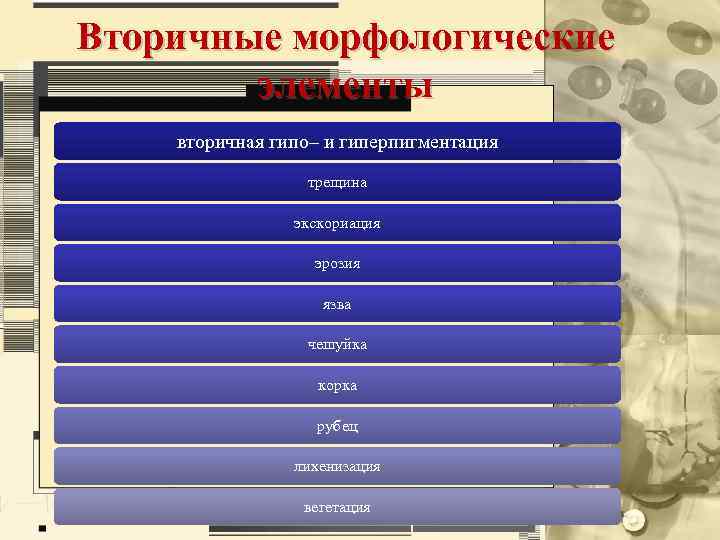 Вторичные морфологические элементы вторичная гипо– и гиперпигментация трещина экскориация эрозия язва чешуйка корка рубец