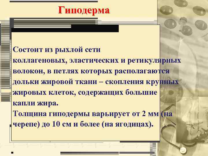 Гиподерма Состоит из рыхлой сети коллагеновых, эластических и ретикулярных волокон, в петлях которых располагаются