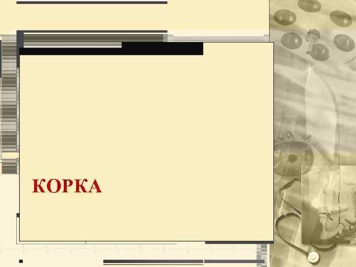КОРКА 