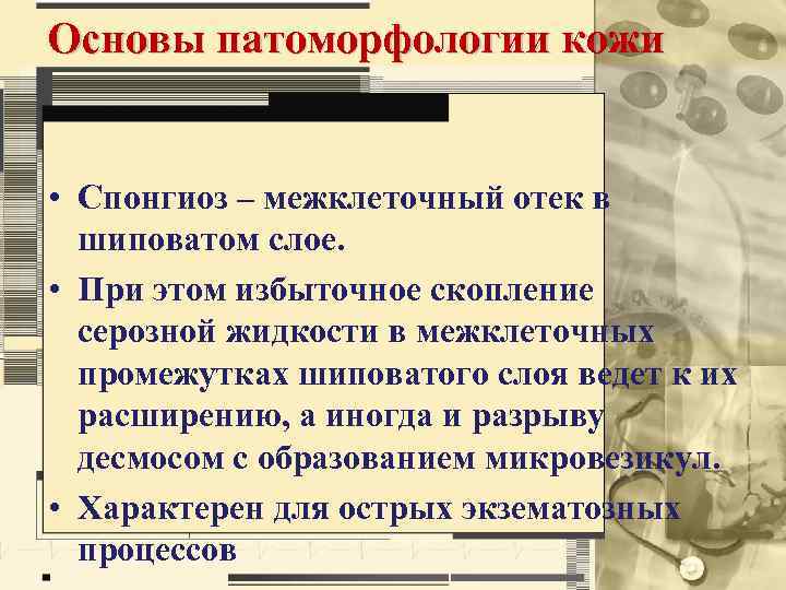 Основы патоморфологии кожи • Спонгиоз – межклеточный отек в шиповатом слое. • При этом