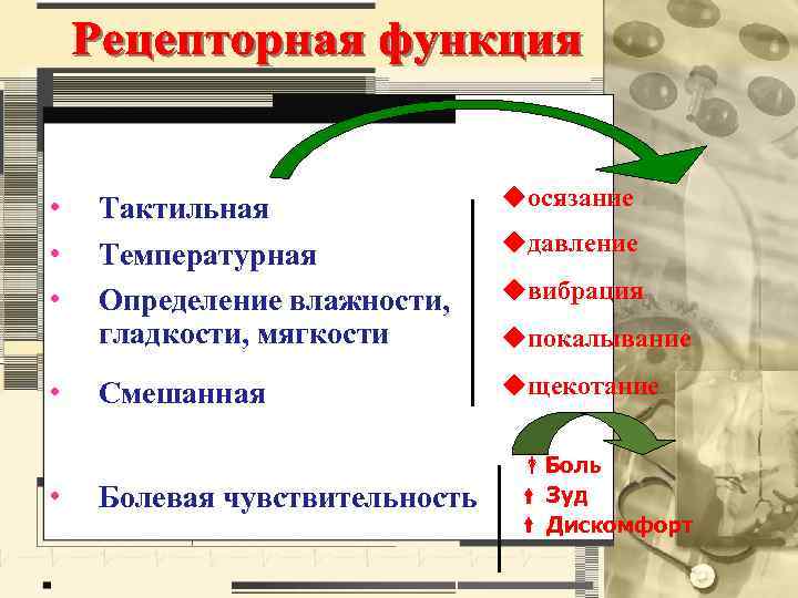  • • Тактильная Температурная Определение влажности, гладкости, мягкости uосязание Смешанная uщекотание uдавление uвибрация