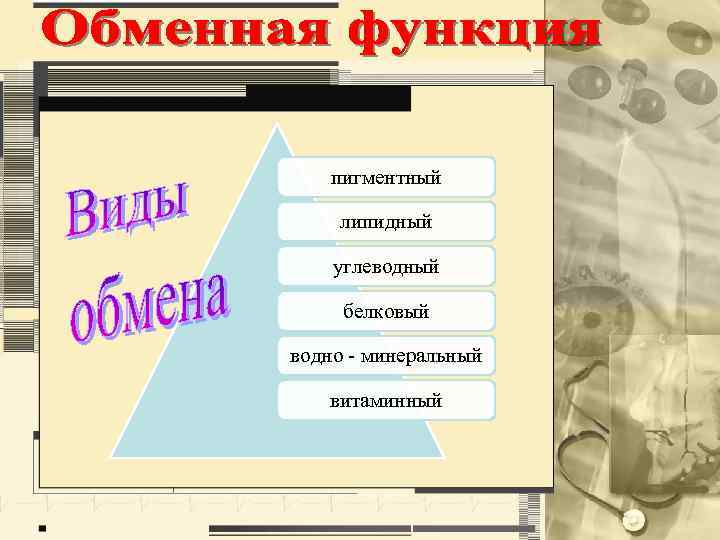 пигментный липидный углеводный белковый водно - минеральный витаминный 