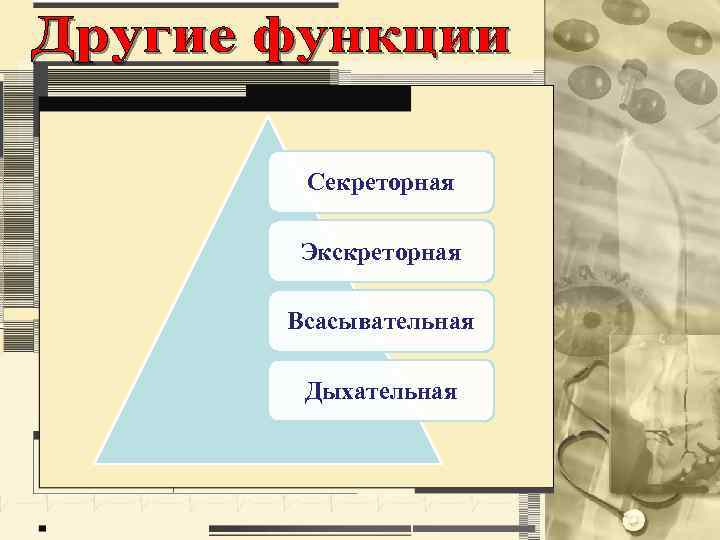 Секреторная Экскреторная Всасывательная Дыхательная 