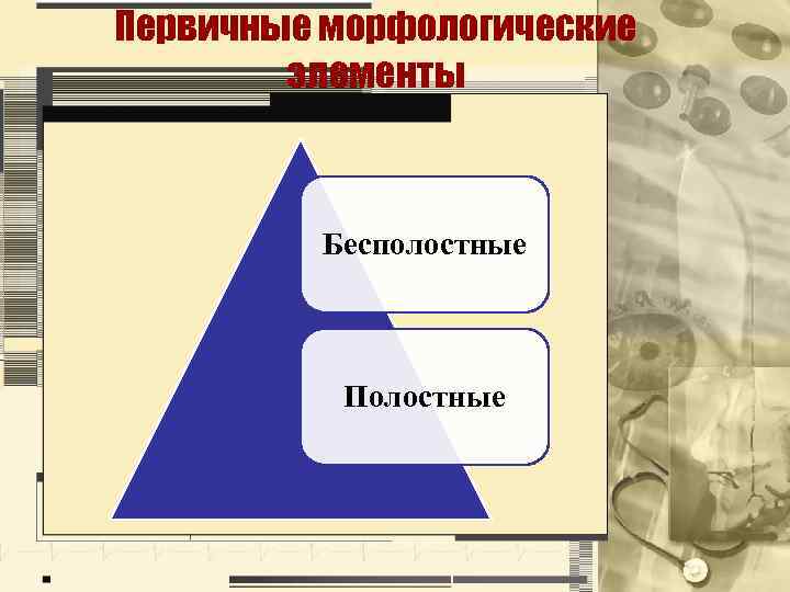 Первичные морфологические элементы Бесполостные Полостные 