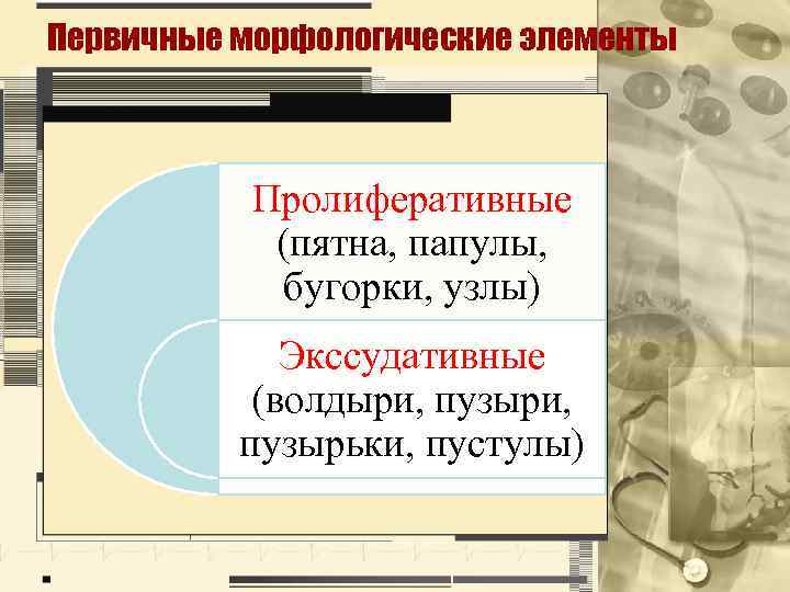 Первичные морфологические элементы Пролиферативные (пятна, папулы, бугорки, узлы) Экссудативные (волдыри, пузыри, пузырьки, пустулы) 