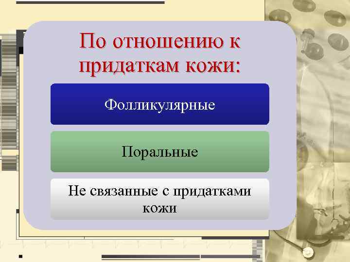 По отношению к придаткам кожи: Фолликулярные Поральные Не связанные с придатками кожи 