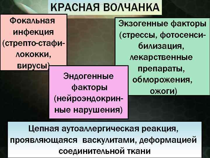 КРАСНАЯ ВОЛЧАНКА Фокальная Экзогенные факторы инфекция (стрессы, фотосенси(стрепто-стафибилизация, лококки, лекарственные вирусы) препараты, Эндогенные обморожения,