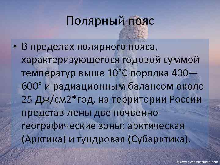 Презентация по географии 5 класс жизнь в полярных поясах и в океане